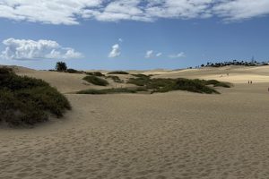 Dunas de Maspalomas