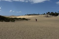 IMG_0769-scaled