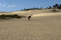 IMG_0773-scaled