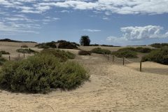 IMG_0777-scaled