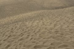 IMG_0790-scaled