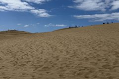IMG_0797-scaled