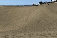 IMG_0824-scaled