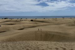 IMG_0835-scaled