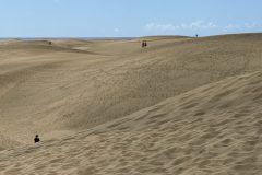 IMG_0839-scaled