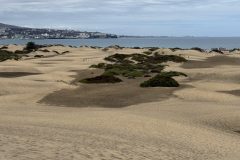 IMG_0840-scaled