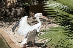 IMG_1055