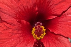 IMG_1059