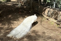 IMG_1280